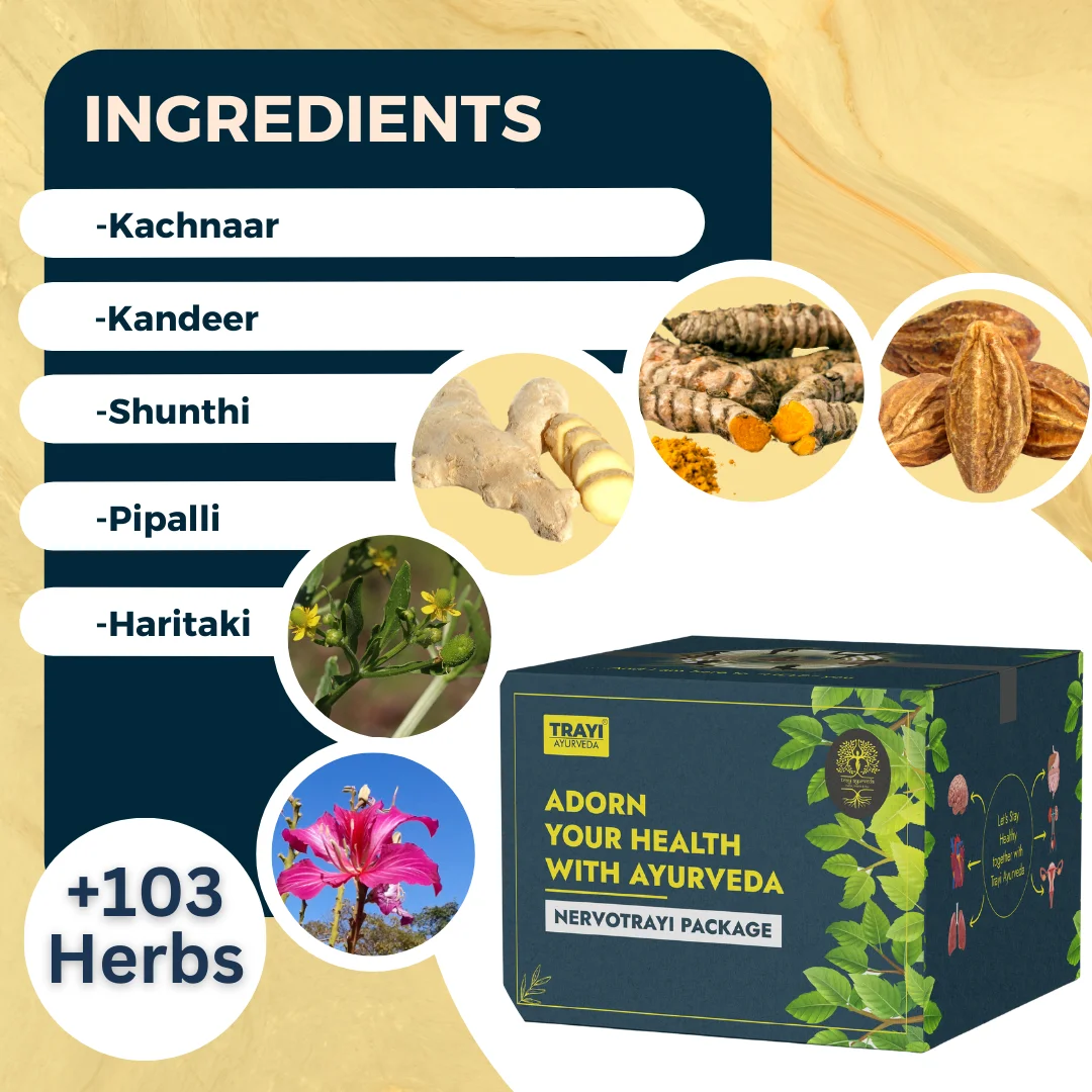 34 Nervotrayi package "Holistic Healing for the Mind and Brain"