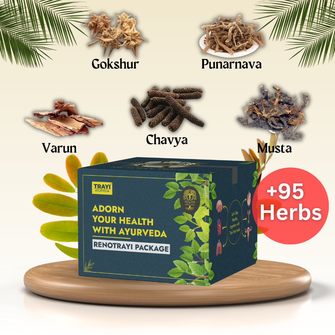 Renotrayi Package "Revive Your Kidneys, Embrace Ayurveda."